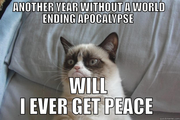 ANOTHER YEAR WITHOUT A WORLD ENDING APOCALYPSE  WILL I EVER GET PEACE  Grumpy Cat