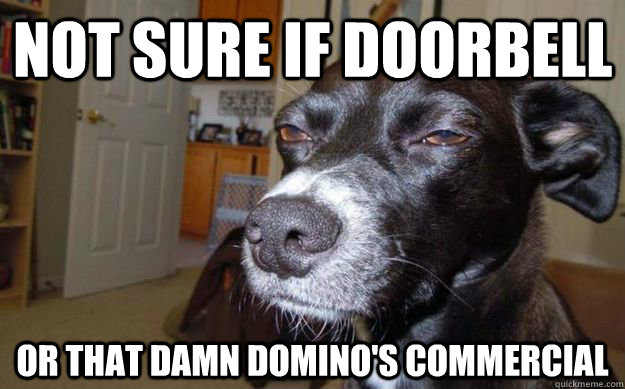 not sure if doorbell or that damn Domino's commercial  Skeptical Mutt