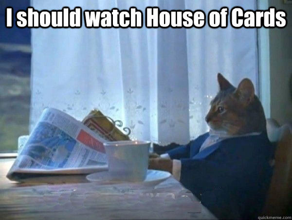 I should watch House of Cards   morning realization newspaper cat meme