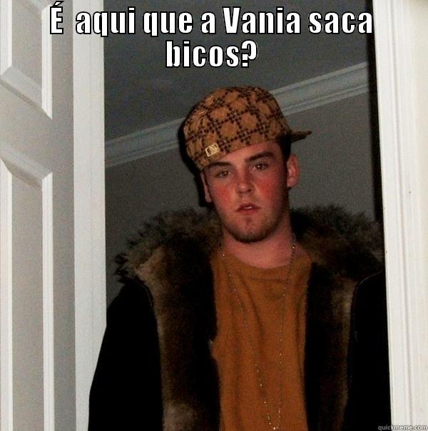 É  AQUI QUE A VANIA SACA BICOS?  Scumbag Steve