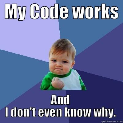 Computing in a nutshell -  MY CODE WORKS  AND I DON'T EVEN KNOW WHY. Success Kid