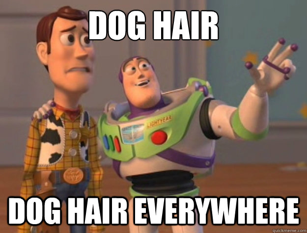 Dog Hair dog hair everywhere  Buzz Lightyear