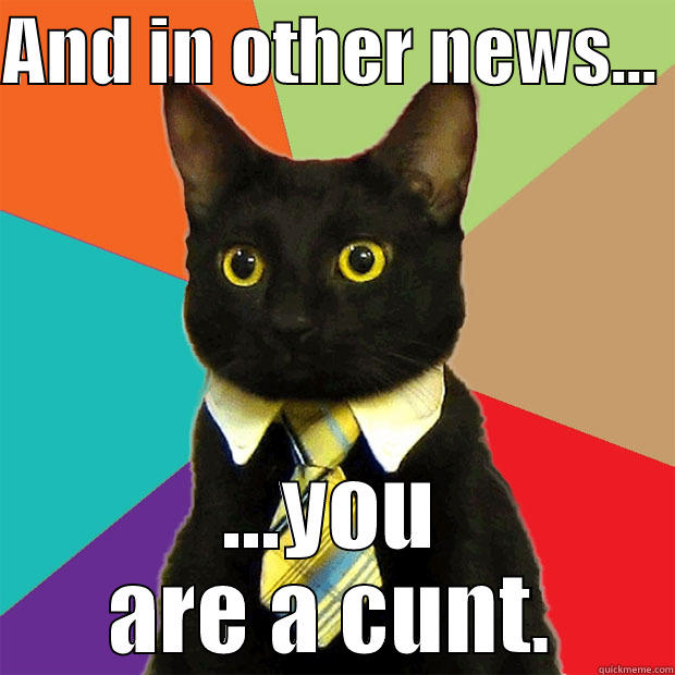 AND IN OTHER NEWS...  ...YOU ARE A CUNT. Business Cat