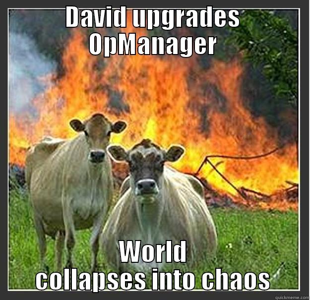 DAVID UPGRADES OPMANAGER WORLD COLLAPSES INTO CHAOS Evil cows