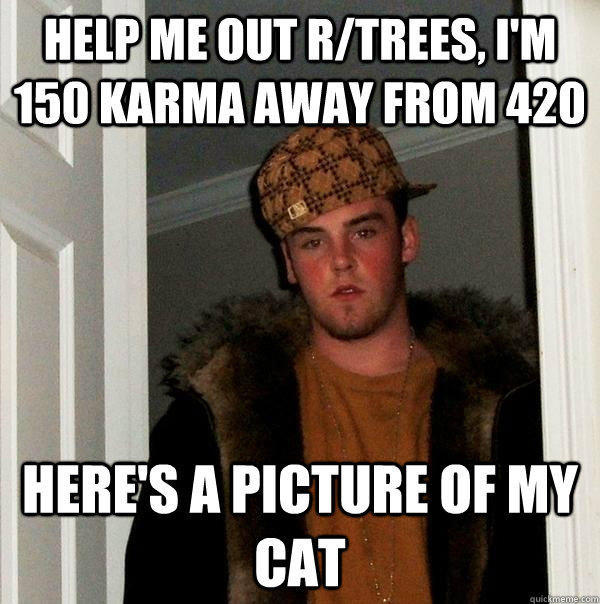 Help me out r/trees, I'm 150 karma away from 420 Here's a picture of my cat  Scumbag Steve