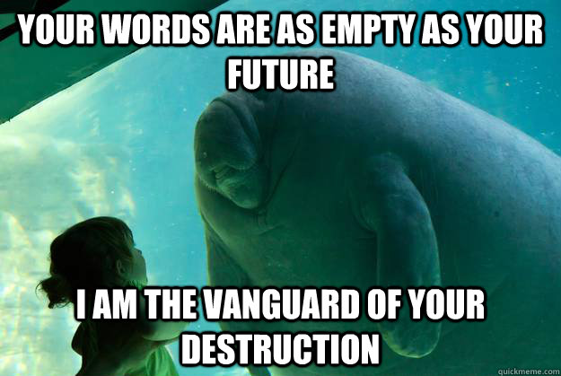 Your Words are as empty as your future i am the vanguard of your destruction  Overlord Manatee