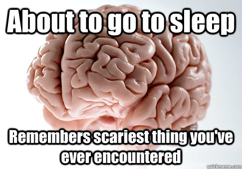 About to go to sleep Remembers scariest thing you've ever encountered  Scumbag Brain