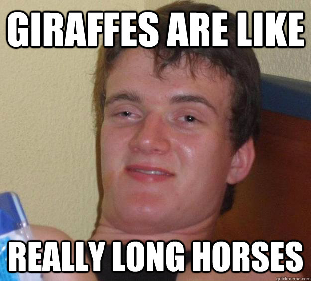 giraffes are like  really long horses  10 Guy