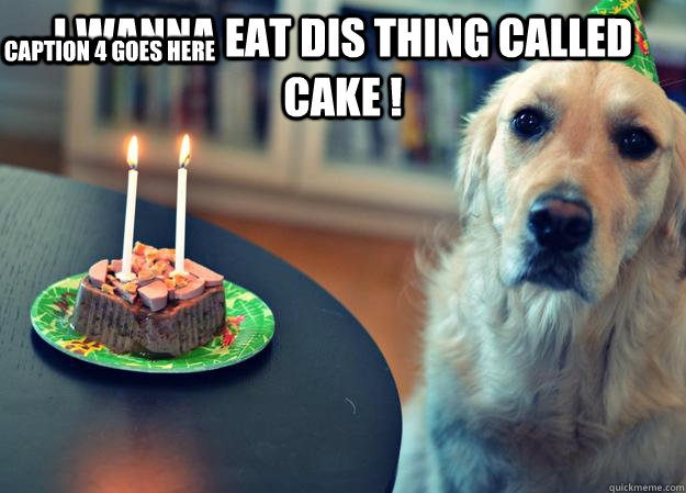 I Wanna Eat Dis Thing Called Cake !   Caption 3 goes here Caption 4 goes here  Sad Birthday Dog