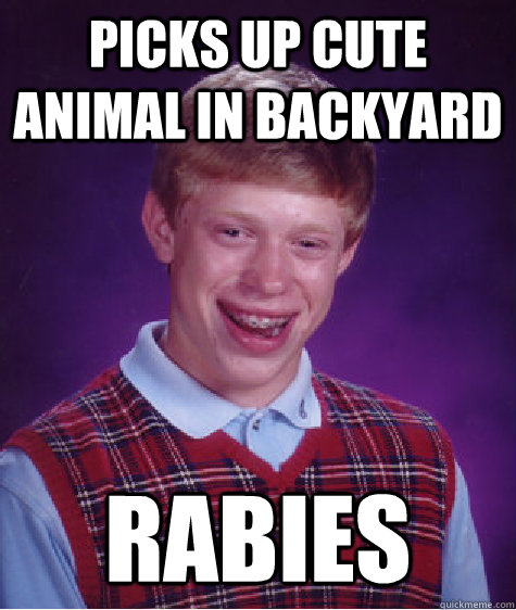 picks up cute animal in backyard rabies  Bad Luck Brian