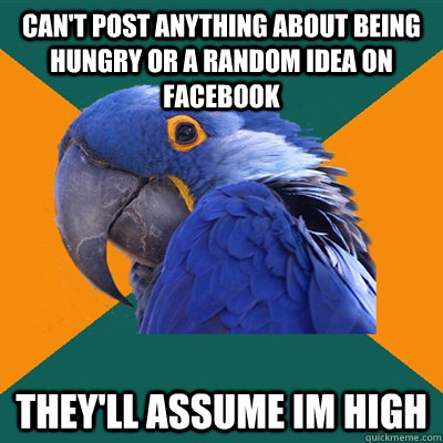 Can't post anything about being hungry or a random idea on facebook They'll assume im high   Paranoid Parrot