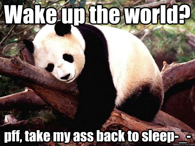 Wake up the world? pff, take my ass back to sleep-_-  Procrastination Panda