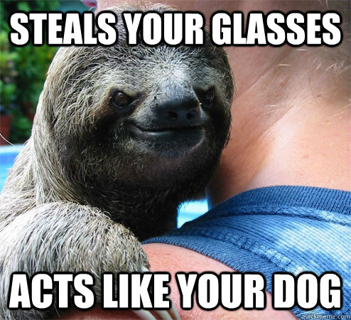 steals your glasses acts like your dog  Suspiciously Evil Sloth