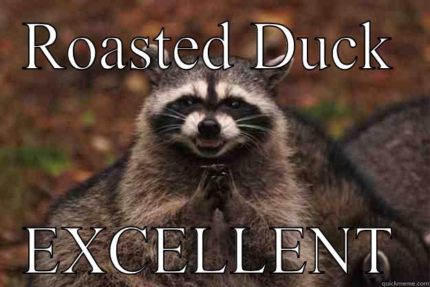 ROASTED DUCK EXCELLENT Evil Plotting Raccoon