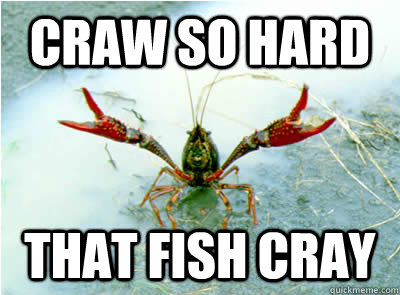 Craw so hard That fish cray - Craw so hard That fish cray  Aggressive Crayfish