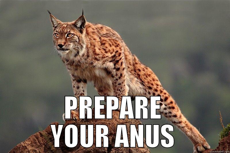  PREPARE YOUR ANUS Misc