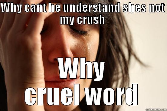 Why firirir - WHY CANT HE UNDERSTAND SHES NOT MY CRUSH WHY CRUEL WORD First World Problems