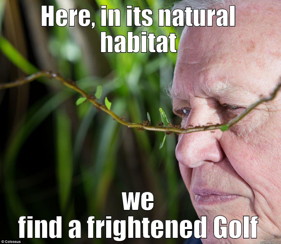 HERE, IN ITS NATURAL HABITAT WE FIND A FRIGHTENED GOLF Misc