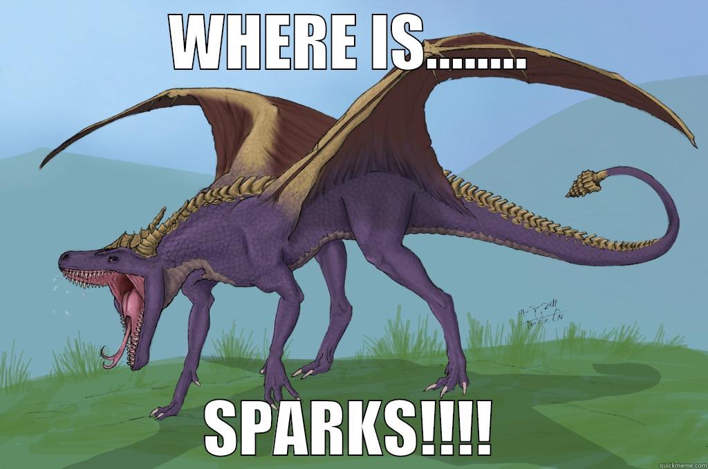 Angery Spyro - WHERE IS........ SPARKS!!!! Misc