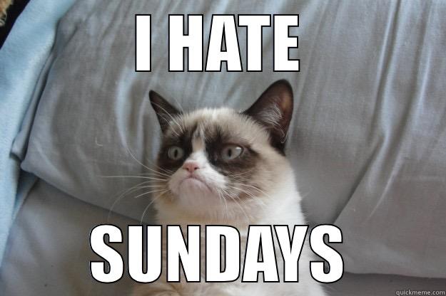 I HATE SUNDAYS Grumpy Cat