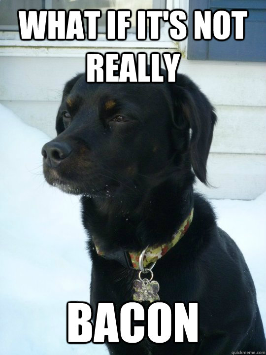 What if it's not really bacon  Philosophical Puppy