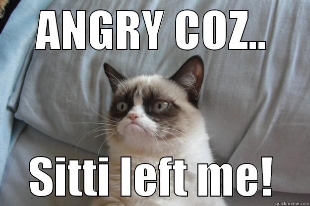 Sitti Left ME! - ANGRY COZ.. SITTI LEFT ME! Grumpy Cat