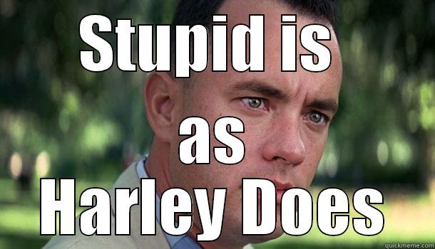 STUPID IS  AS HARLEY DOES Offensive Forrest Gump