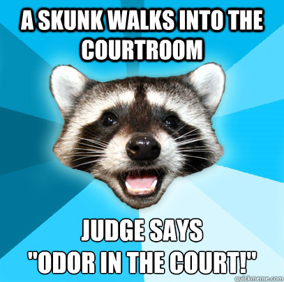 a skunk walks into the courtroom judge says
