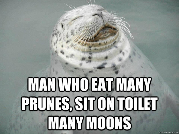 Man who eat many prunes, sit on toilet many moons  Zen Seal