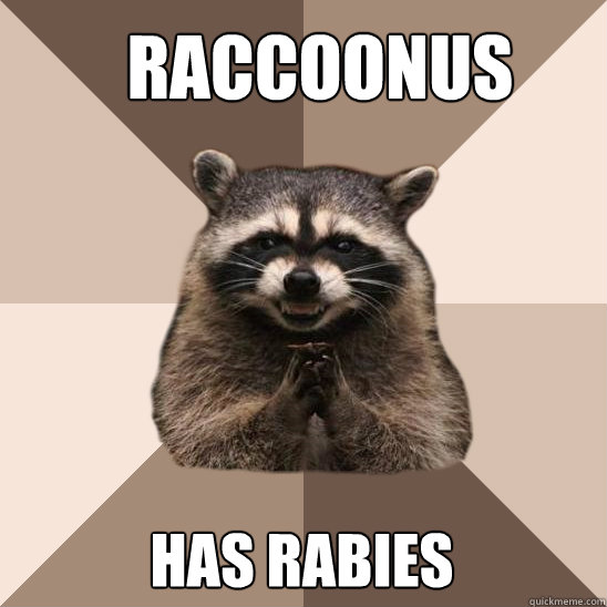 Raccoonus has rabies  - Raccoonus has rabies   Evil Plotting Raccoon