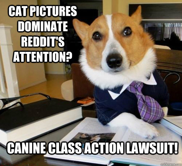 Cat pictures dominate reddit's attention? Canine class action lawsuit!  Lawyer Dog