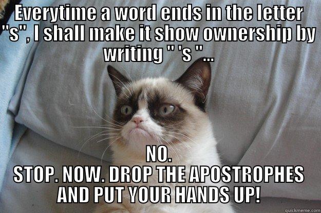 Grammar Grumpy Cat - EVERYTIME A WORD ENDS IN THE LETTER 