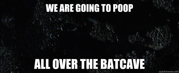 WE ARE GOING TO POOP ALL OVER THE BATCAVE  Batcave poop