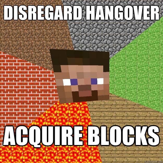 DISREGARD HANGOVER ACQUIRE BLOCKS  Minecraft