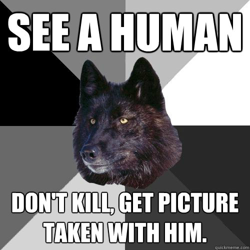 See a Human Don't kill, Get picture taken with him.   