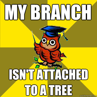 MY BRANCH ISN'T ATTACHED TO A TREE  Observational Owl