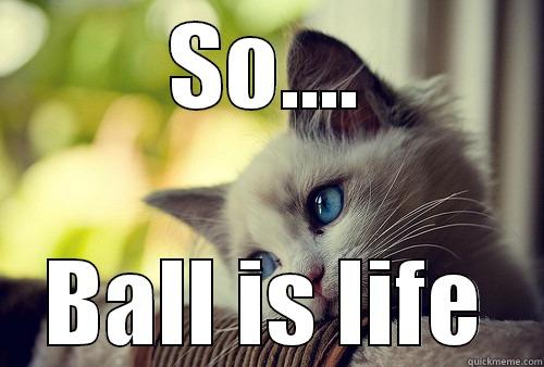 SO.... BALL IS LIFE First World Problems Cat