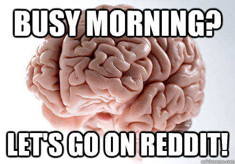 Busy morning? Let's go on Reddit! - Busy morning? Let's go on Reddit!  Scumbag Brain