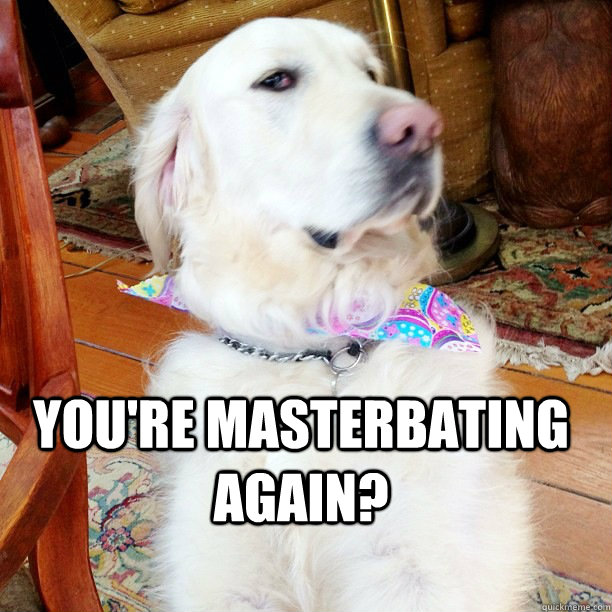  You're masterbating again?  Disappointed Dog