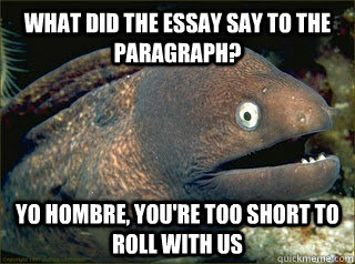 What did the essay say to the paragraph? Yo hombre, you're too short to roll with us  Bad Joke Eel