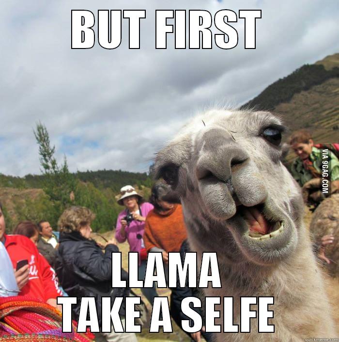 Llama take a selfie - BUT FIRST LLAMA TAKE A SELFE Misc