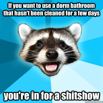 If you want to use a dorm bathroom that hasn't been cleaned for a few days you're in for a shitshow - If you want to use a dorm bathroom that hasn't been cleaned for a few days you're in for a shitshow  Lame Pun Coon