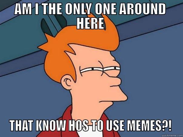 It seem no one here knows how to - AM I THE ONLY ONE AROUND HERE THAT KNOW HOS TO USE MEMES?! Futurama Fry