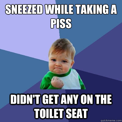 sneezed while taking a piss didn't get any on the toilet seat - sneezed while taking a piss didn't get any on the toilet seat  Success Kid