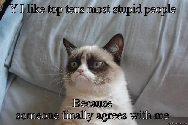 Tv these days - Y I LIKE TOP TENS MOST STUPID PEOPLE BECAUSE SOMEONE FINALLY AGREES WITH ME Grumpy Cat