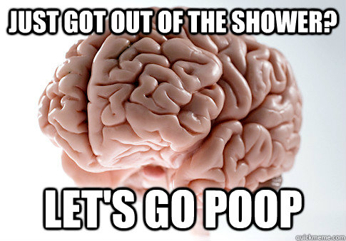 Just got out of the shower? Let's go poop  Scumbag Brain