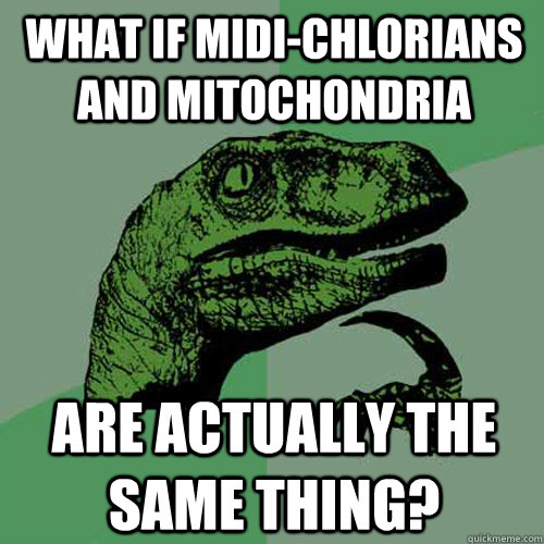 what if Midi-chlorians and mitochondria are actually the same thing? - what if Midi-chlorians and mitochondria are actually the same thing?  Philosoraptor