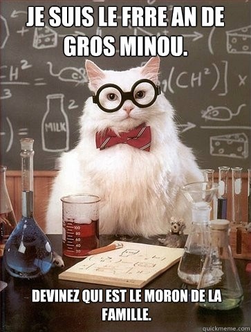 Je suis le frère aîné de gros minou. Devinez qui est le moron de la famille. - Je suis le frère aîné de gros minou. Devinez qui est le moron de la famille.  Chemistry Cat