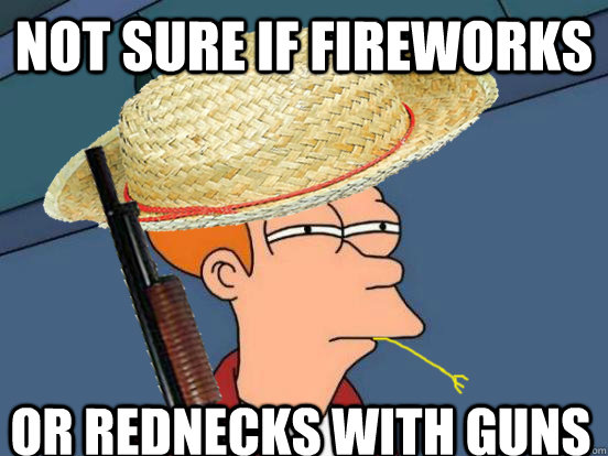 not sure if fireworks or rednecks with guns - not sure if fireworks or rednecks with guns  Futurama Fry the Farmer