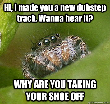 Hi, I made you a new dubstep track. Wanna hear it? WHY ARE YOU TAKING YOUR SHOE OFF  Misunderstood Spider